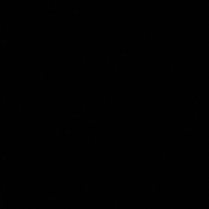 Meet your Posher, Asrah